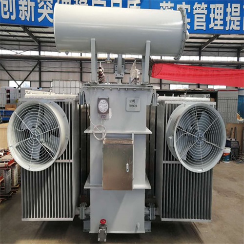 龙岩S22-8000KVA电力变压器